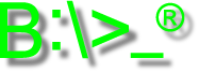 Bitstore Logo in Neongrün